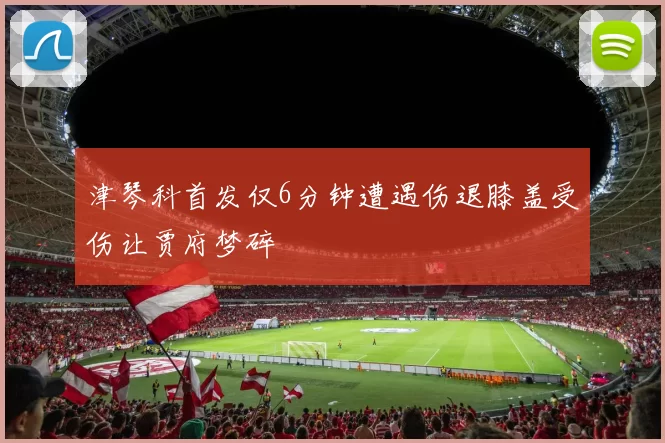 津琴科首发仅6分钟遭遇伤退膝盖受伤让贾府梦碎