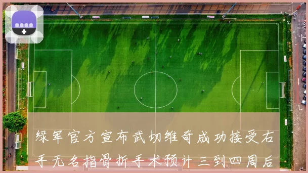绿军官方宣布武切维奇成功接受右手无名指骨折手术预计三到四周后复查
