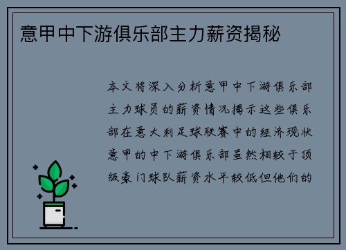 意甲中下游俱乐部主力薪资揭秘